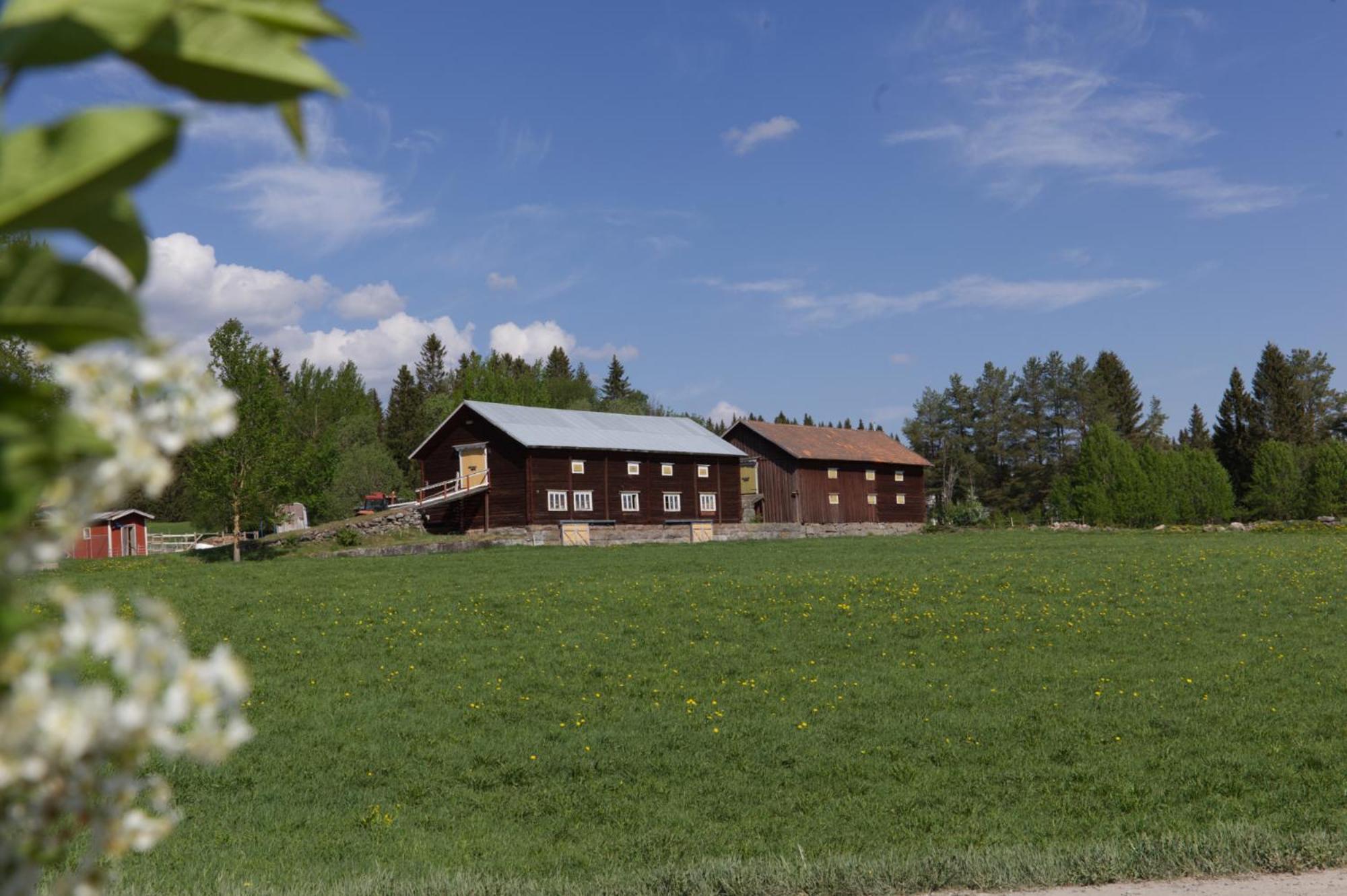 Grindstugan Pa Fyras Gard Hammerdal Экстерьер фото